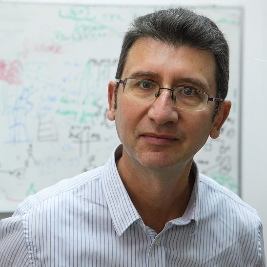 Prof. Mark Last Prof. Mark Last